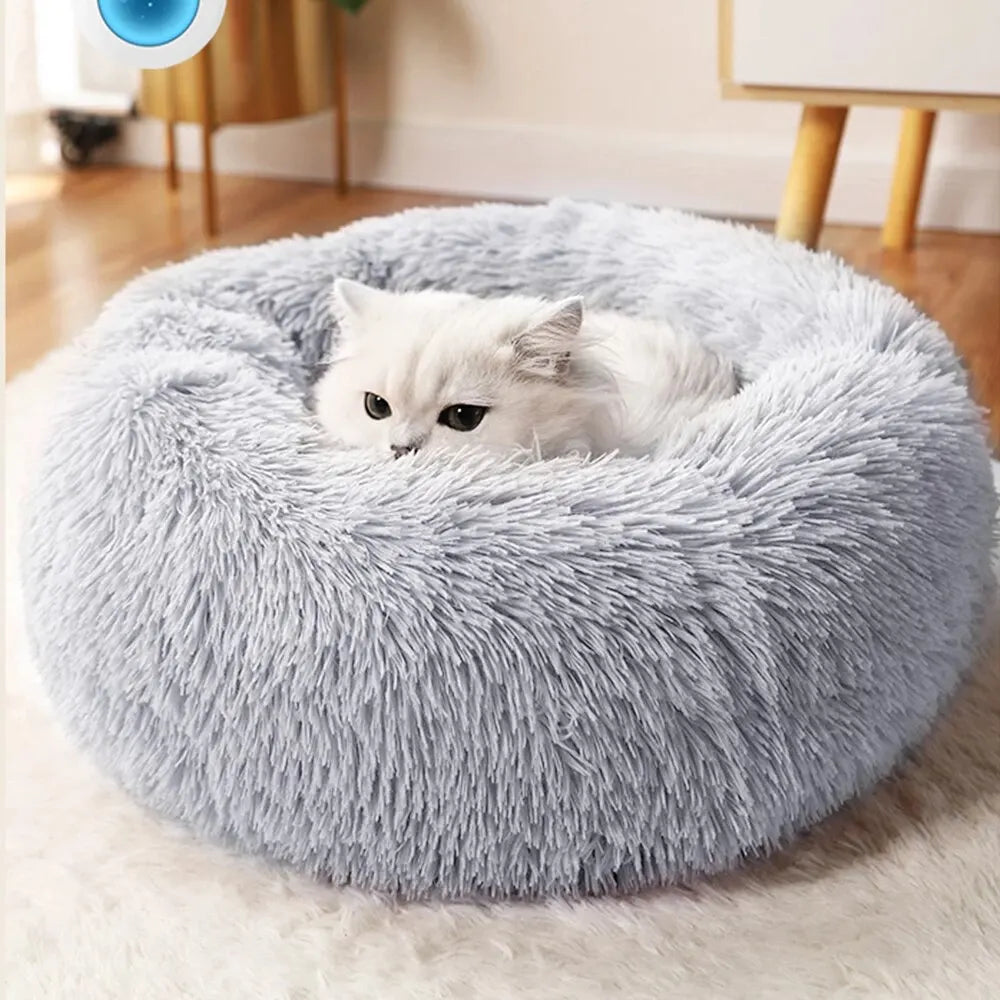 Cama Nido 